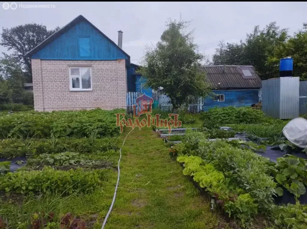 Дом в Карабаново, улица Горького, 7 (81 м) - Фото 2