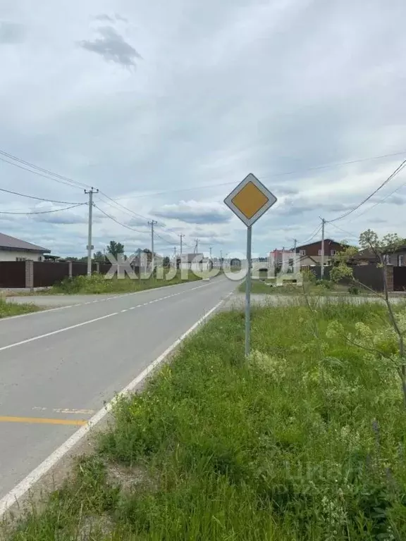 Участок в Новосибирская область, Новосибирский район, Станционный ... - Фото 1