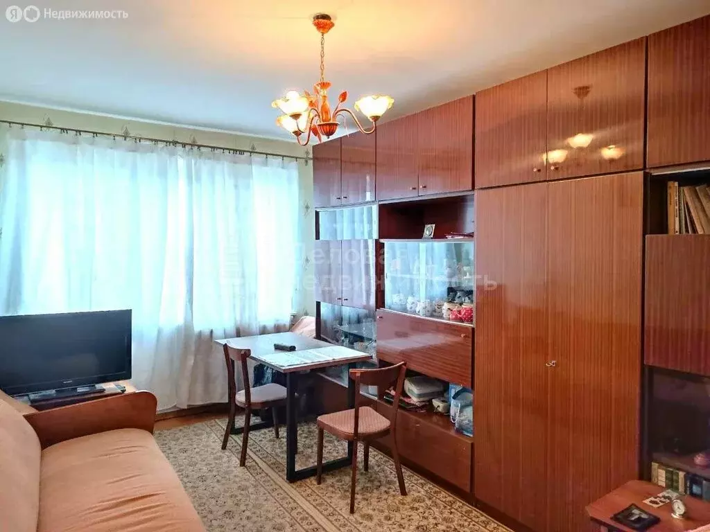 1-комнатная квартира: деревня Григорово, Центральная улица, 9 (30 м) - Фото 1