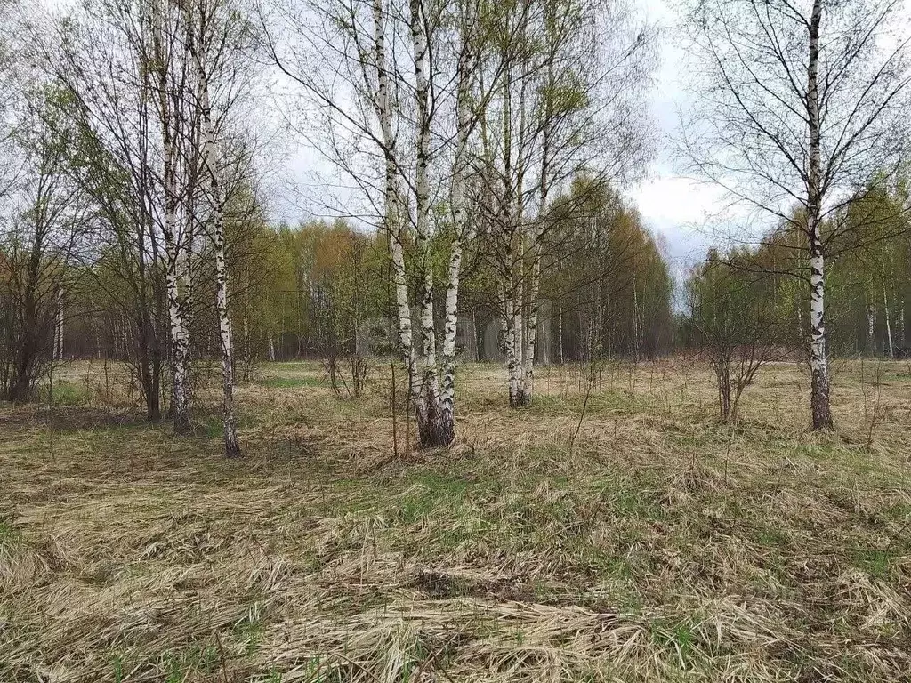 Участок в Тверская область, Калининский муниципальный округ, д. Старое ... - Фото 2
