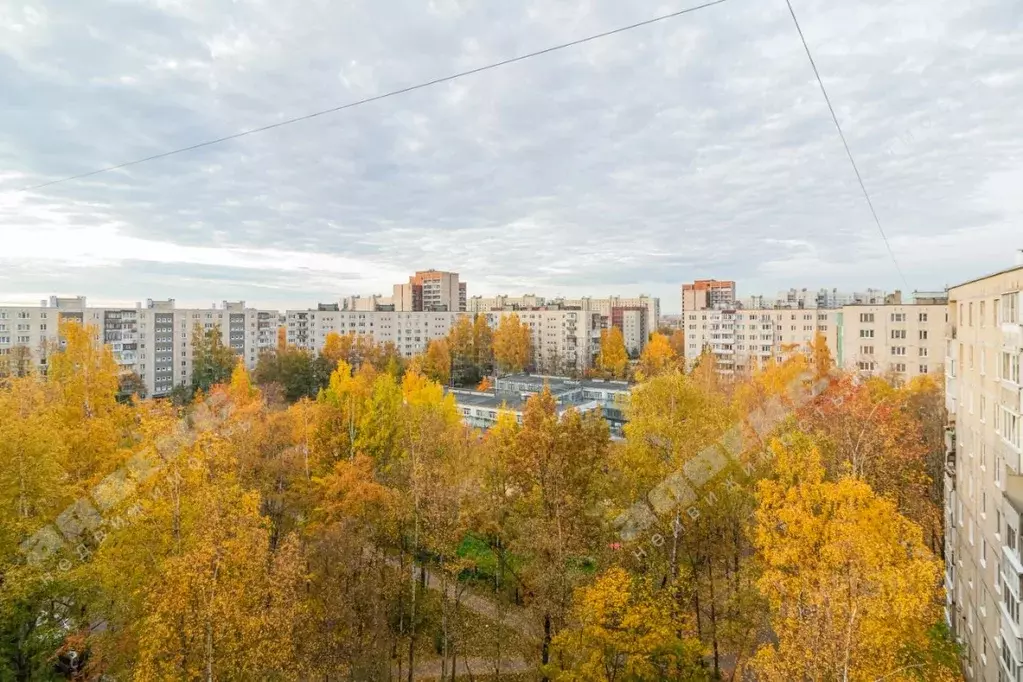 3-к кв. Санкт-Петербург Купчинская ул., 29К1 (62.1 м) - Фото 0