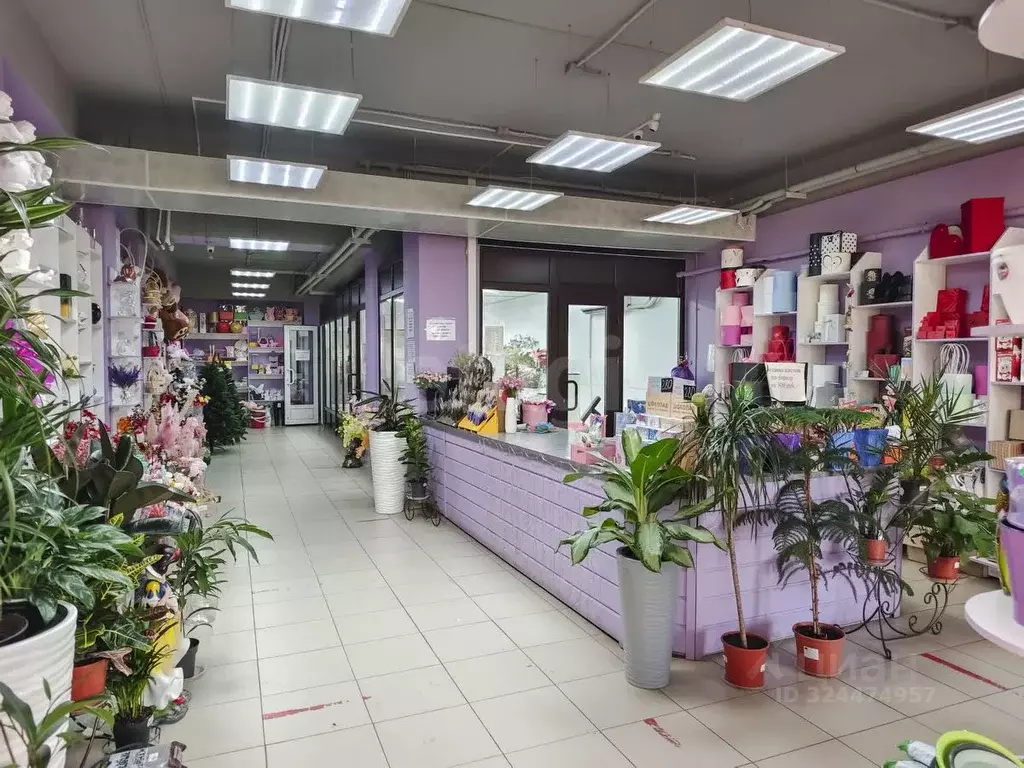 Торговая площадь в Тюменская область, Тюмень ул. Газовиков, 33 (128 м) - Фото 1