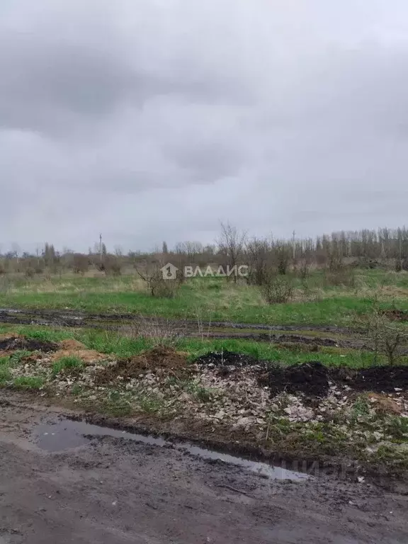 Участок в Воронежская область, Воронеж Никольское мкр, ул. Глинки (6.5 ... - Фото 2