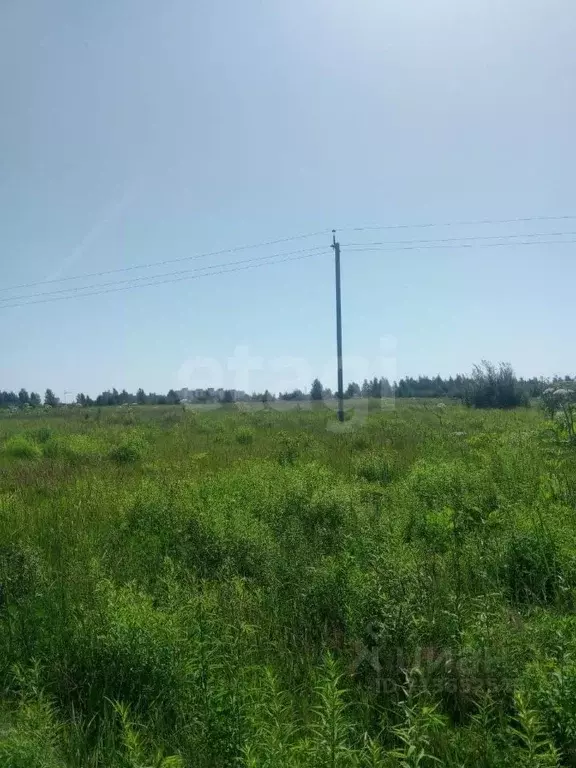 Участок в Псковская область, Псковский район, Завеличенская волость, ... - Фото 1