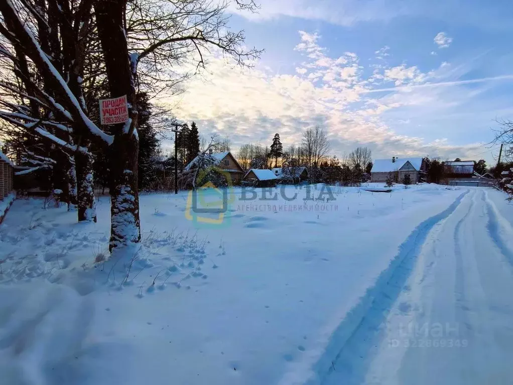 Участок в Ленинградская область, Гатчинский муниципальный округ, пос. ... - Фото 2