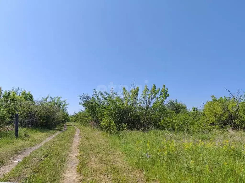 Участок в Воронежская область, Борисоглебск Надежда-3 СНТ, 50 (10.0 ... - Фото 1