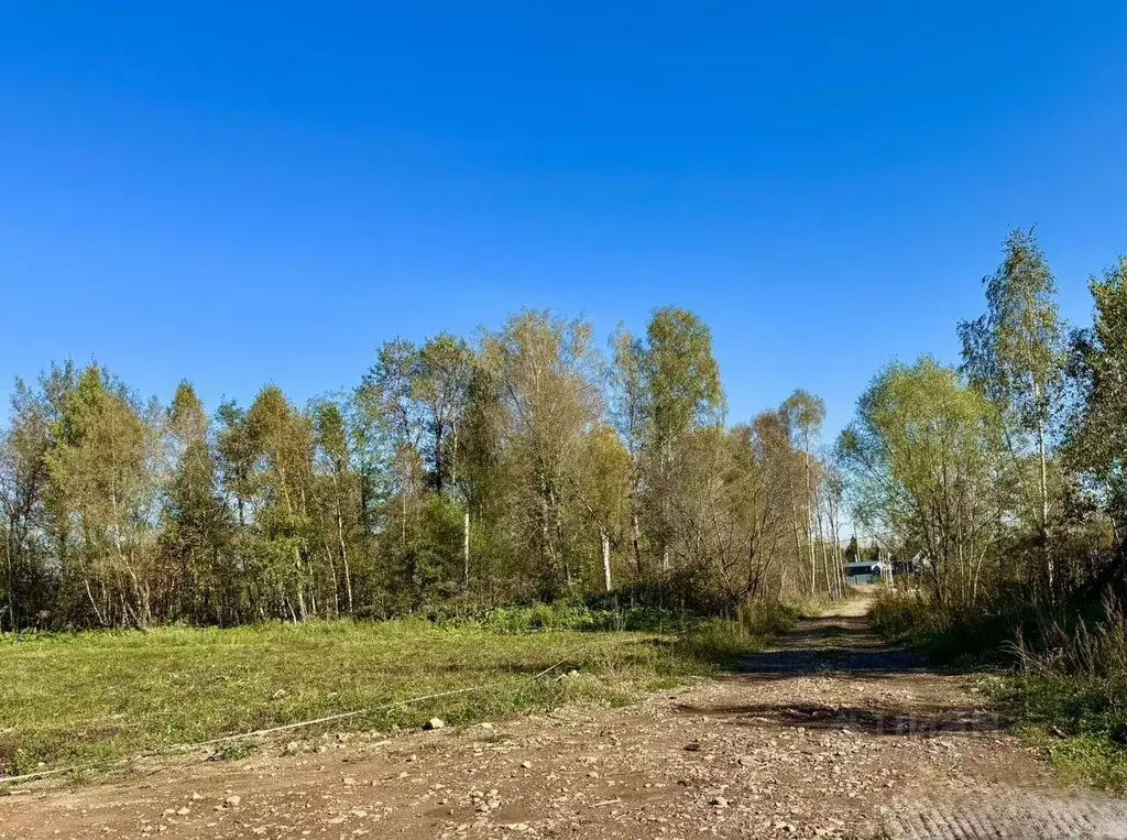 Участок в Московская область, Рузский муниципальный округ, пос. ... - Фото 2