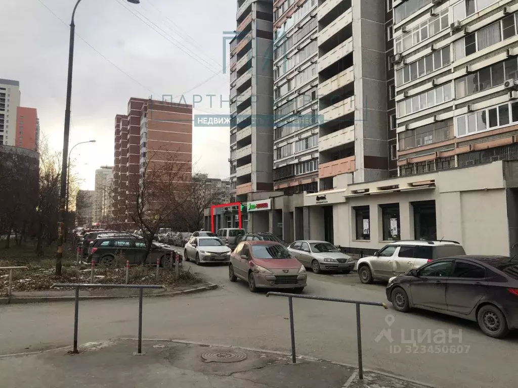 Торговая площадь в Свердловская область, Екатеринбург ул. Викулова, ... - Фото 2