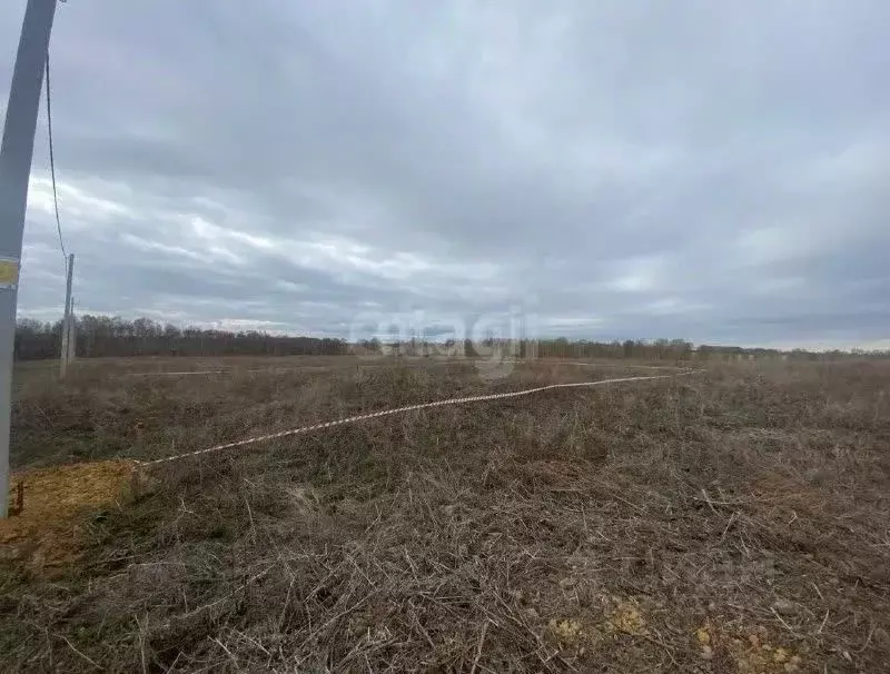 Участок в Тюменская область, Тюменский муниципальный округ, ... - Фото 1