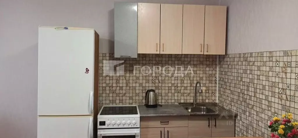 Студия Новосибирская область, Новосибирск Затулинский жилмассив, ул. ... - Фото 1