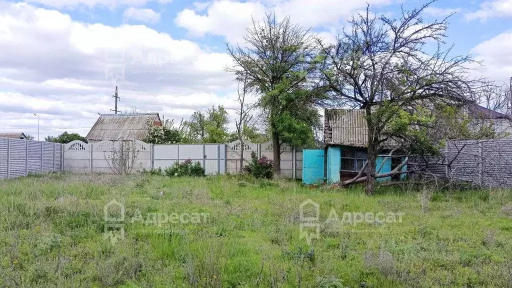 Участок в Волгоградская область, Волгоград Дзержинец СНТ, Винновский ... - Фото 1