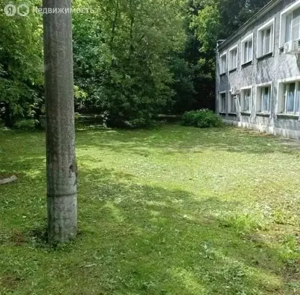 Помещение свободного назначения (835 м) - Фото 1