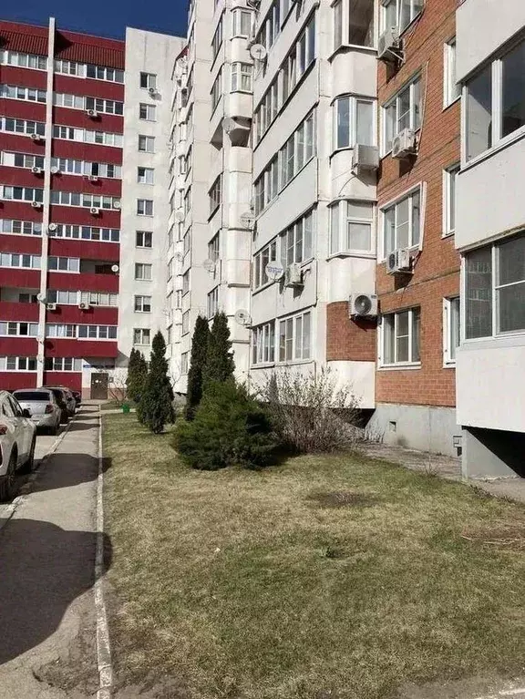 1-к кв. Самарская область, Тольятти Калмыцкая ул., 48 (37.6 м) - Фото 1