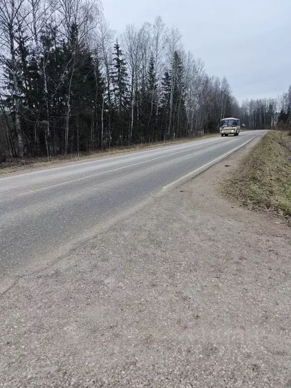 Участок в Удмуртия, Глазовский район, д. Адам ул. Имени Л.П. Уракова, ... - Фото 2