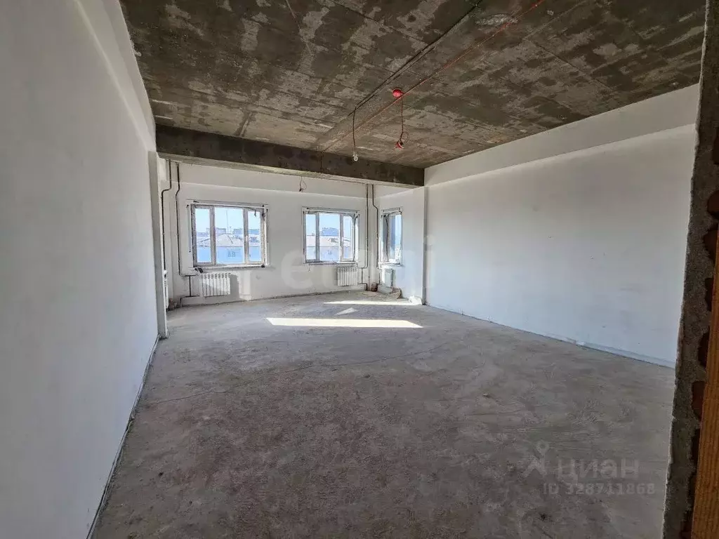 Помещение свободного назначения в Амурская область, Благовещенск ул. ... - Фото 2