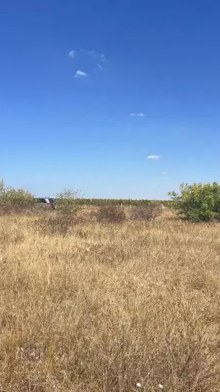 Участок в Севастополь с. Орловка,  (5.0 сот.) - Фото 2