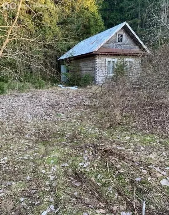 Дом в Бургинское сельское поселение, деревня Сюйська (25 м) - Фото 1