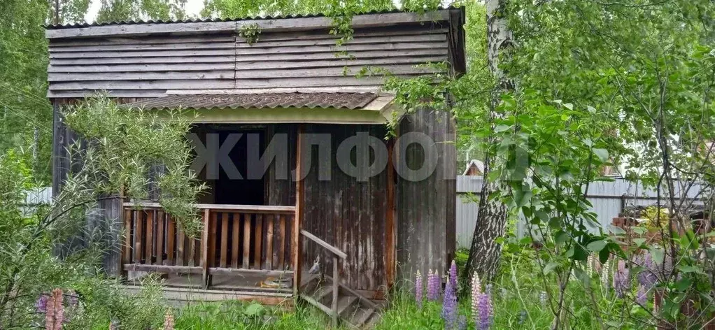 Дом в Новосибирская область, Новосибирский район, Новолуговской ... - Фото 2