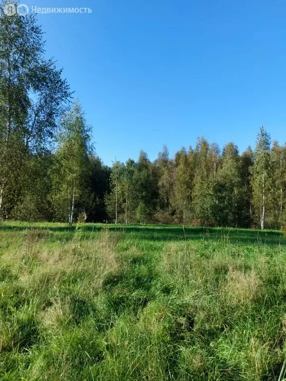 участок в лужский район, серебрянское сельское поселение, деревня . - Фото 1