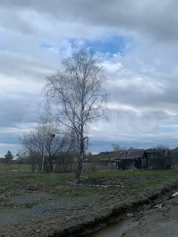 Участок 12 сот. (ИЖС) - Фото 1