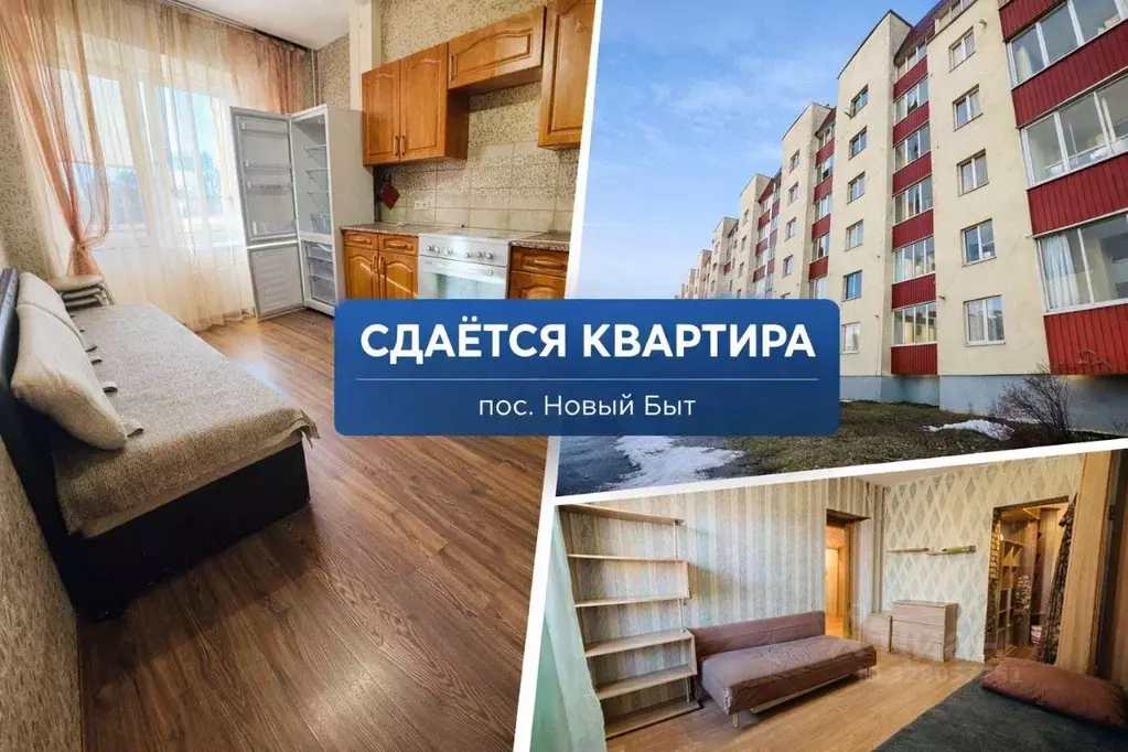 2-к кв. Московская область, Чехов муниципальный округ, с. Новый Быт ... - Фото 1