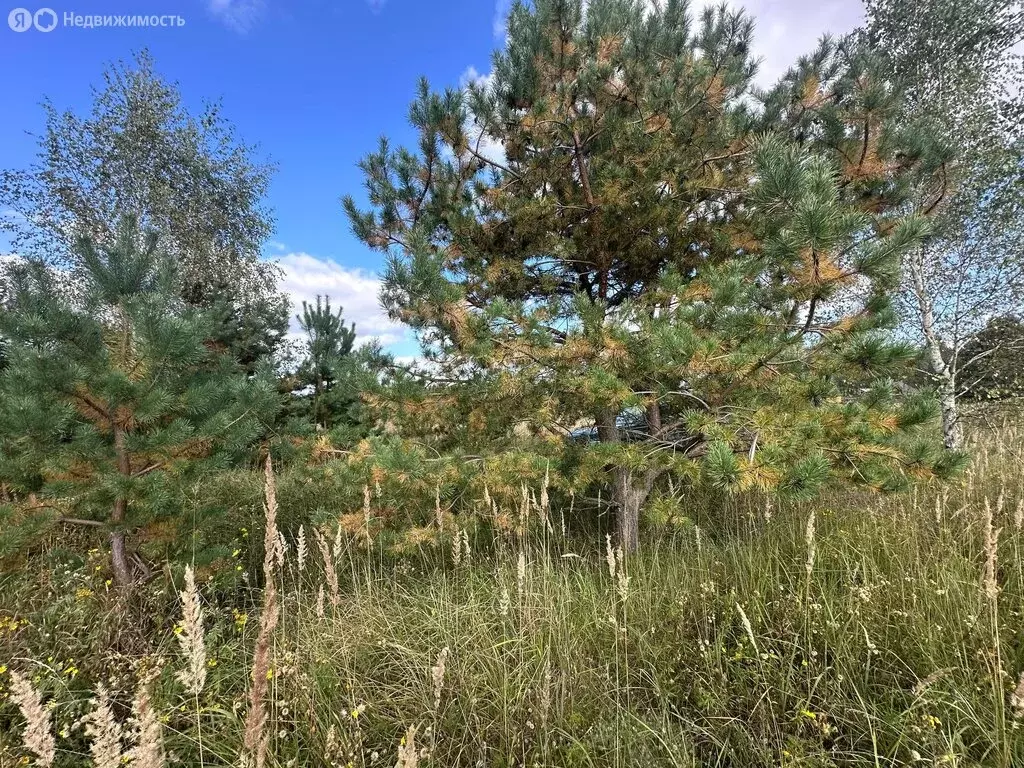 Участок в Московская область, городской округ Воскресенск, деревня ... - Фото 1