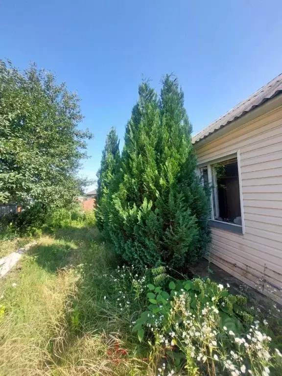 Дом в Белгородская область, Белгород пер. 1-й Лучевой (41 м) - Фото 1