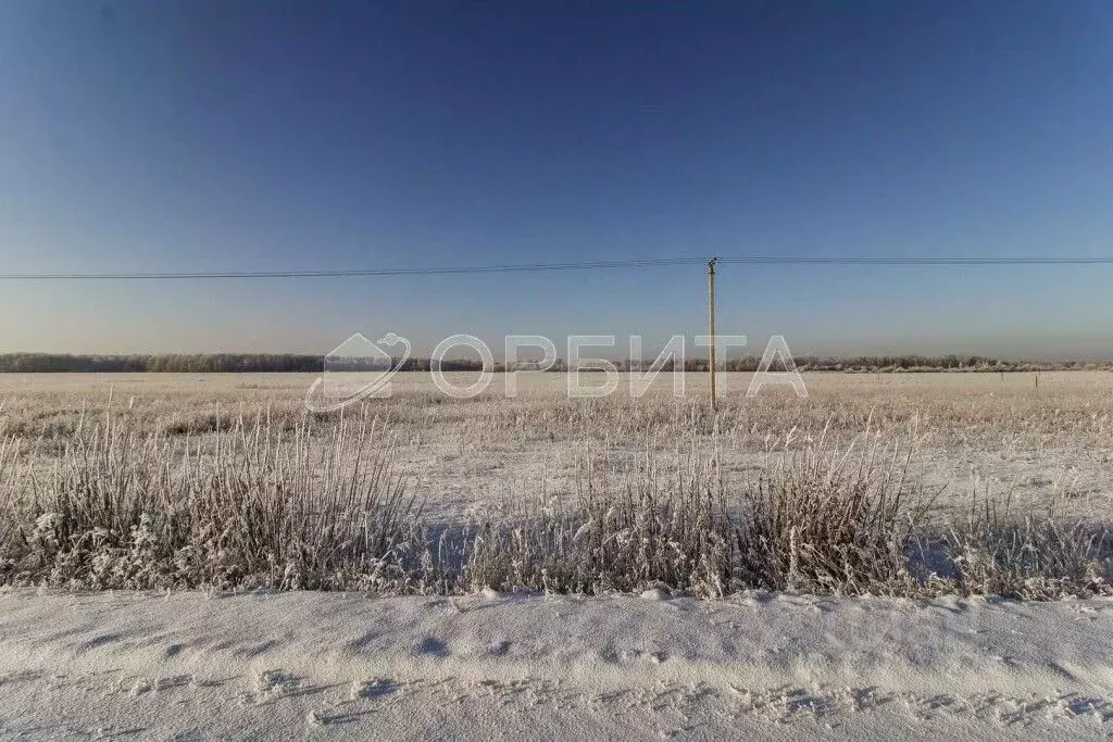 Участок в Тюменская область, Тюменский район, с. Кулига, Кулига-2 мкр  ... - Фото 1