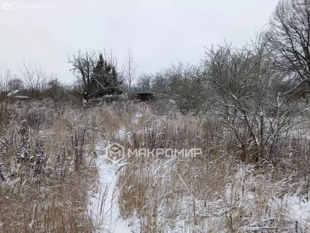 Участок в Брянск, садоводческое объединение Черёмушки, Снежетьская ... - Фото 2