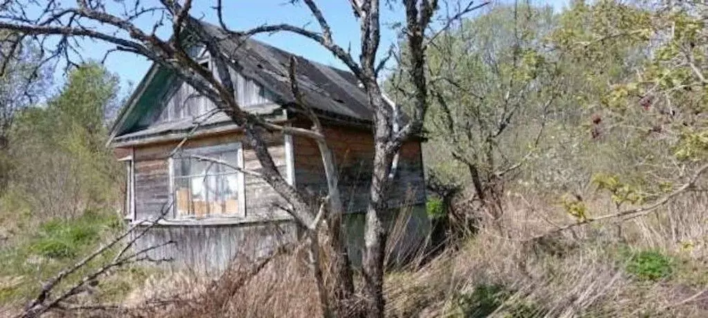 Дом в Новгородская область, Старорусский район, Новосельское с/пос, ... - Фото 2