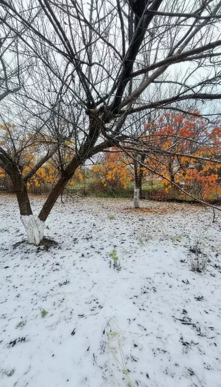 Дом в Саратовская область, Балаково Цемент СНТ, ул. Вишневая, 145 (18 ... - Фото 2