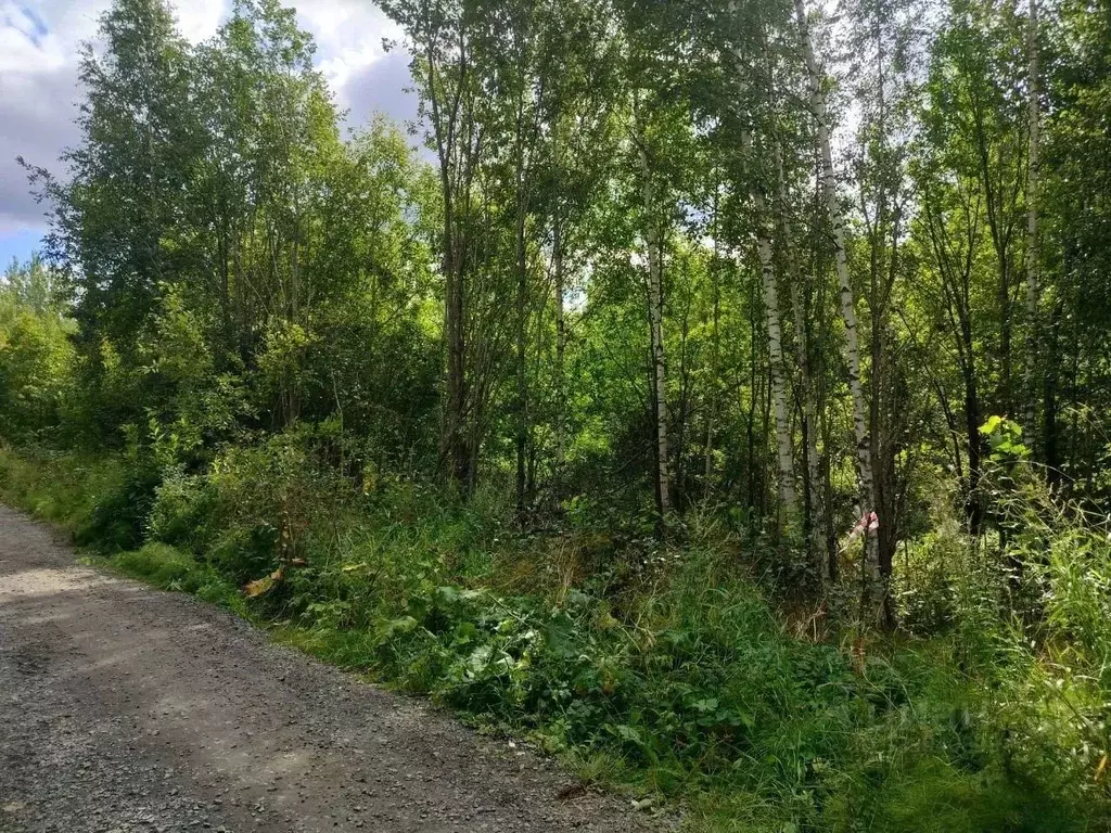 Участок в Ленинградская область, Лодейнопольский район, пос. ... - Фото 2