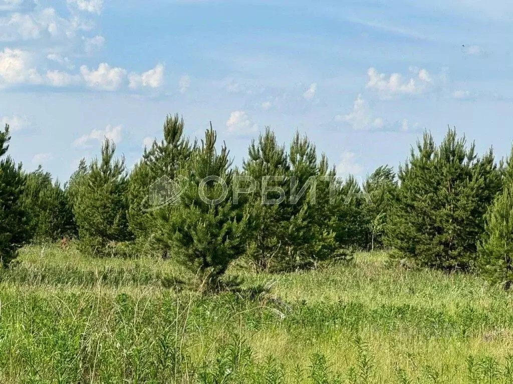 Участок в Тюменская область, Тюменский район, с. Салаирка  (7043.0 ... - Фото 0