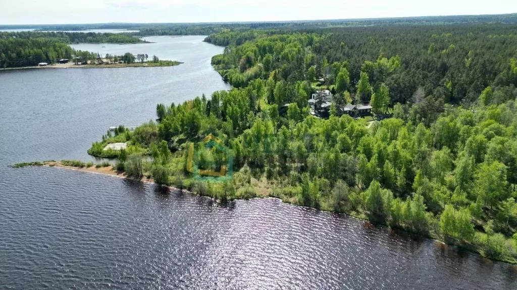 Участок в Ленинградская область, Всеволожский район, Куйвозовское ... - Фото 2