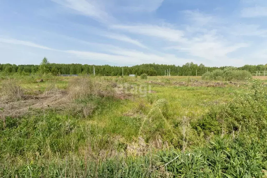 Участок в Тюменская область, Тюменский район, с. Кулига, Кулига-2 мкр  ... - Фото 0