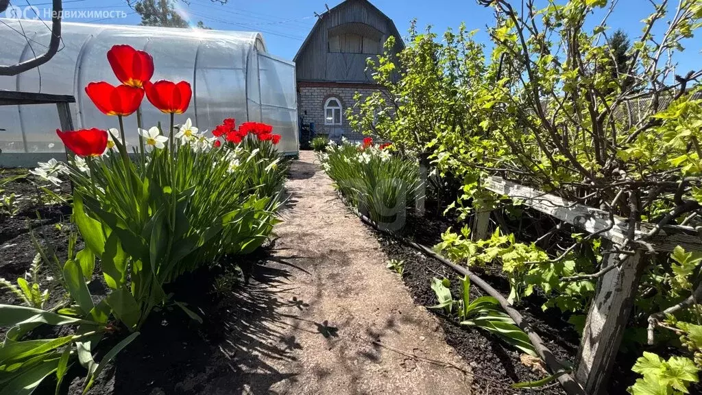 Дом в Отрадовский сельсовет, СНТ Незабудка (60 м) - Фото 1
