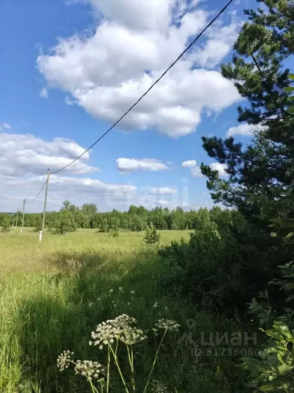 Участок в Свердловская область, Ревда муниципальный округ, с. Кунгурка ... - Фото 1