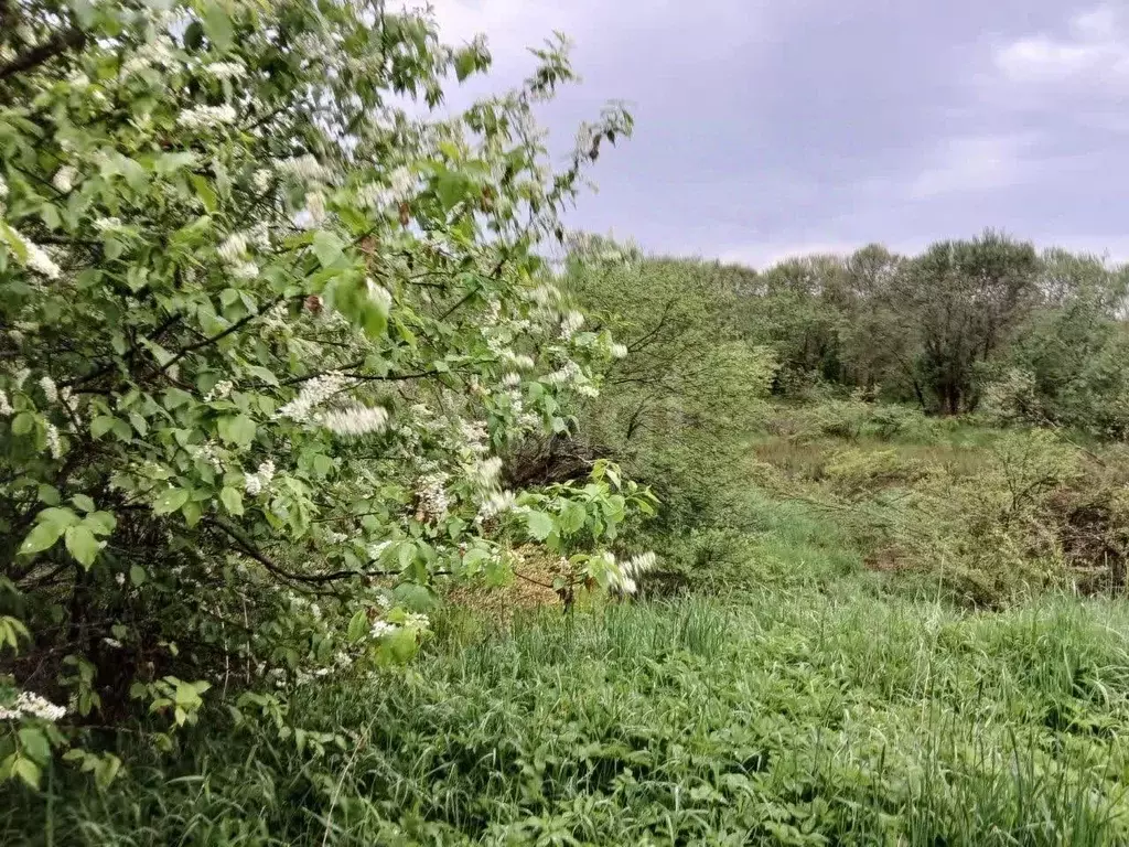 Участок в Ленинградская область, Волховский район, Пашское с/пос, д. ... - Фото 1