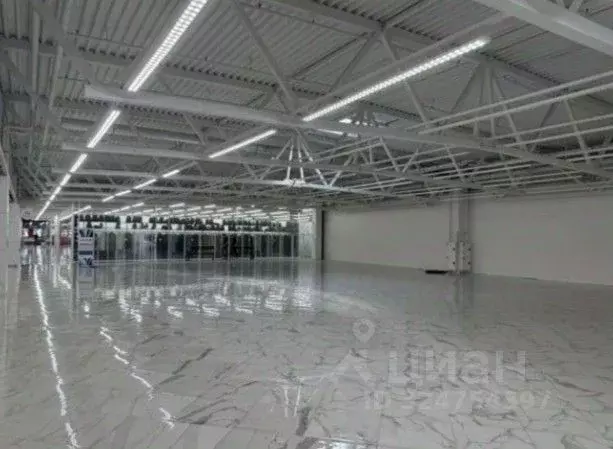 Торговая площадь в Санкт-Петербург Дунайский просп., 27к1 (800 м) - Фото 1