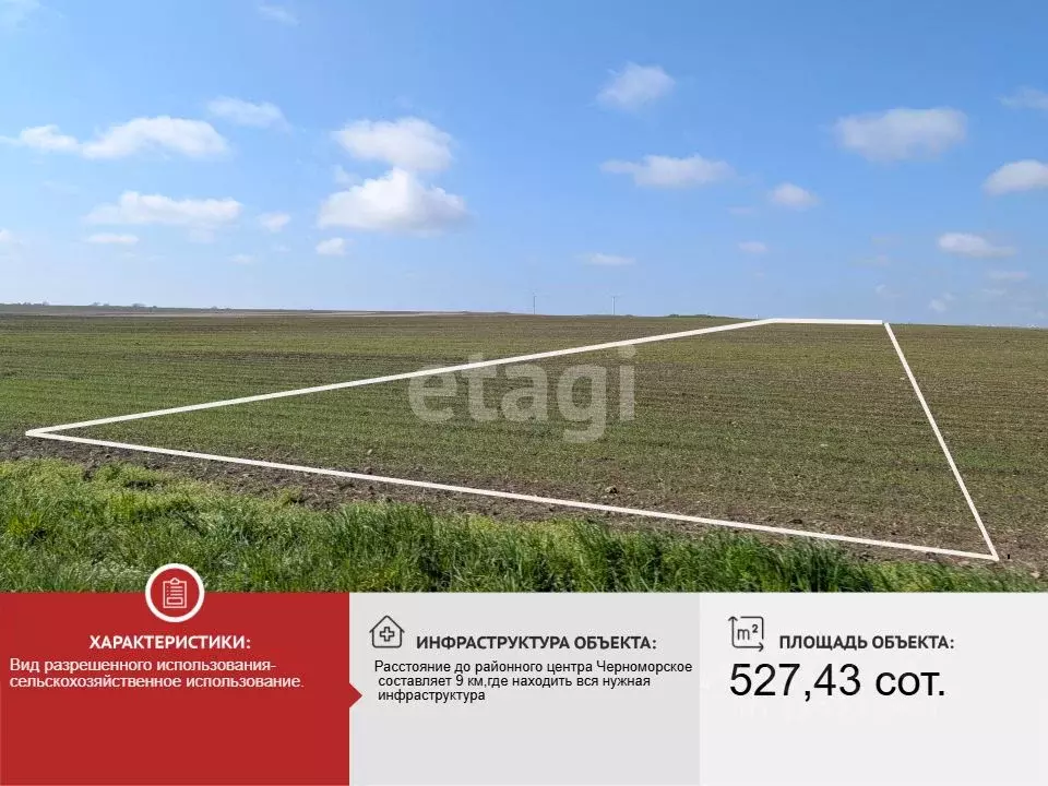 Участок в Крым, Черноморский район, с. Новосельское  (527.43 сот.) - Фото 2