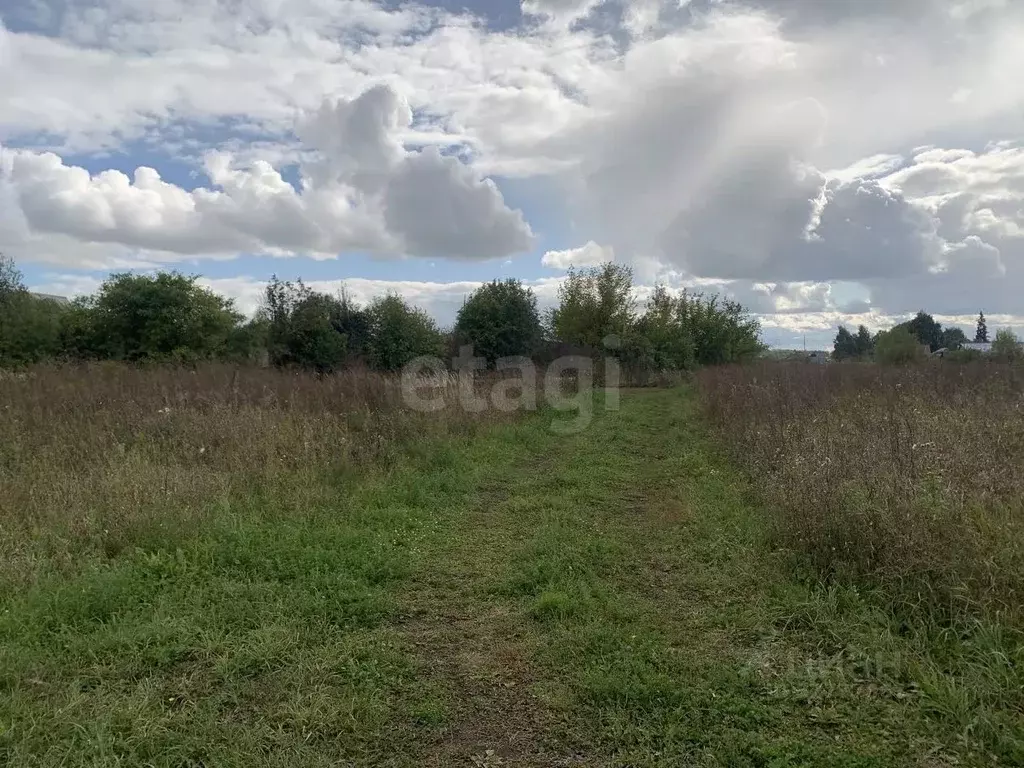 Участок в Мордовия, Кочкуровский район, с. Мурань ул. Молодежная (29.0 ... - Фото 2