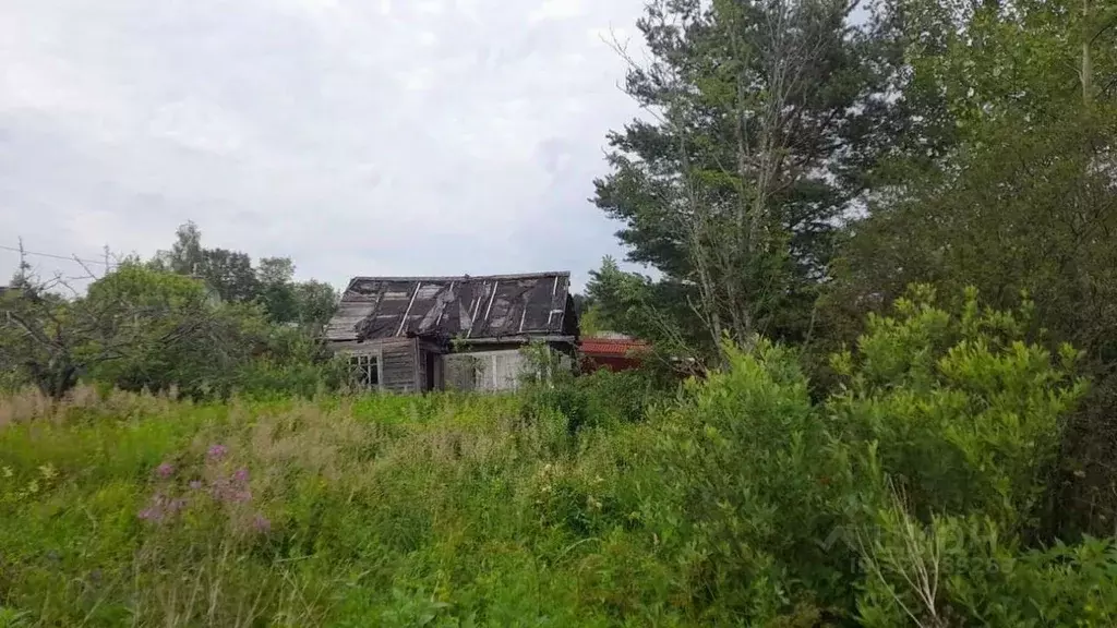 Участок в Новгородская область, Новгородский район, Панковское ... - Фото 2
