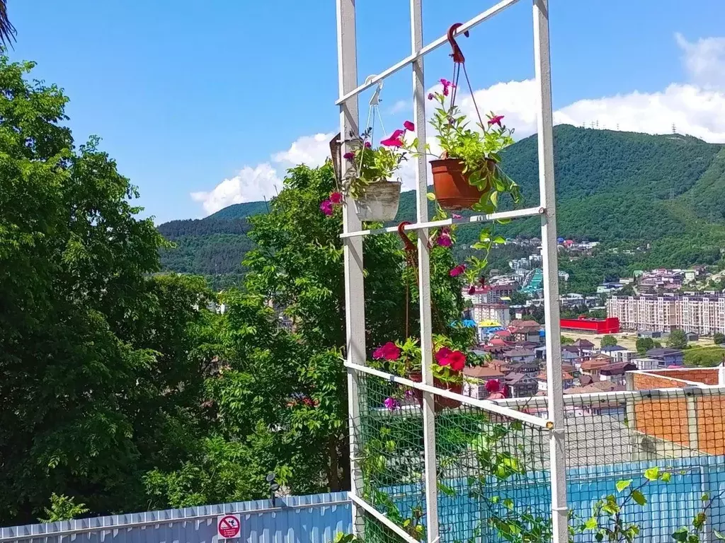 Коттедж в Краснодарский край, Сочи Марьинское ш., 42 (326 м) - Фото 2