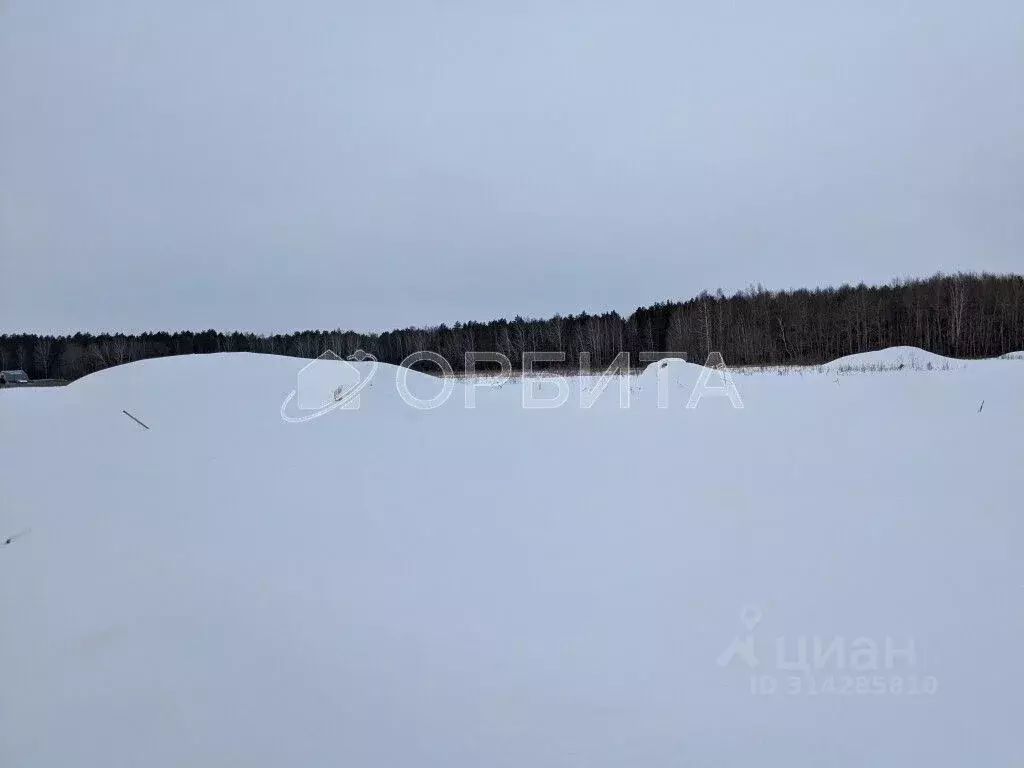 Участок в Тюменская область, Тюменский район, с. Кулига  (8.0 сот.) - Фото 0