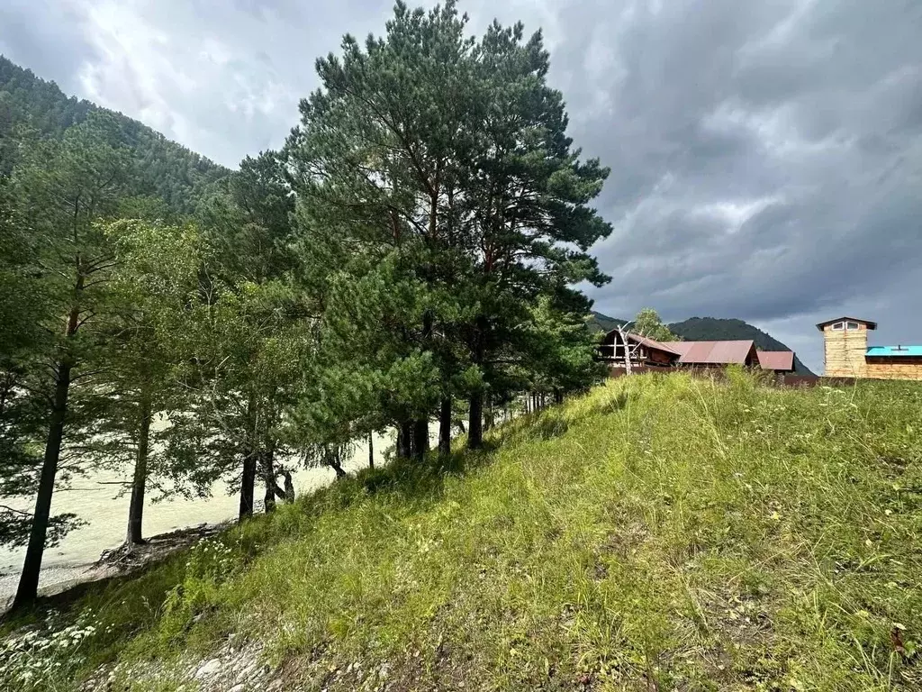 Участок в Алтай, Чемальский район, с. Чемал  (38.0 сот.) - Фото 2