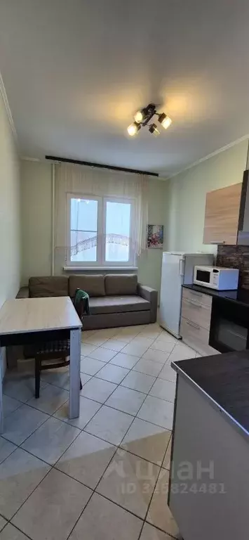 1-к кв. Московская область, Солнечногорск городской округ, Голубое пгт ... - Фото 2