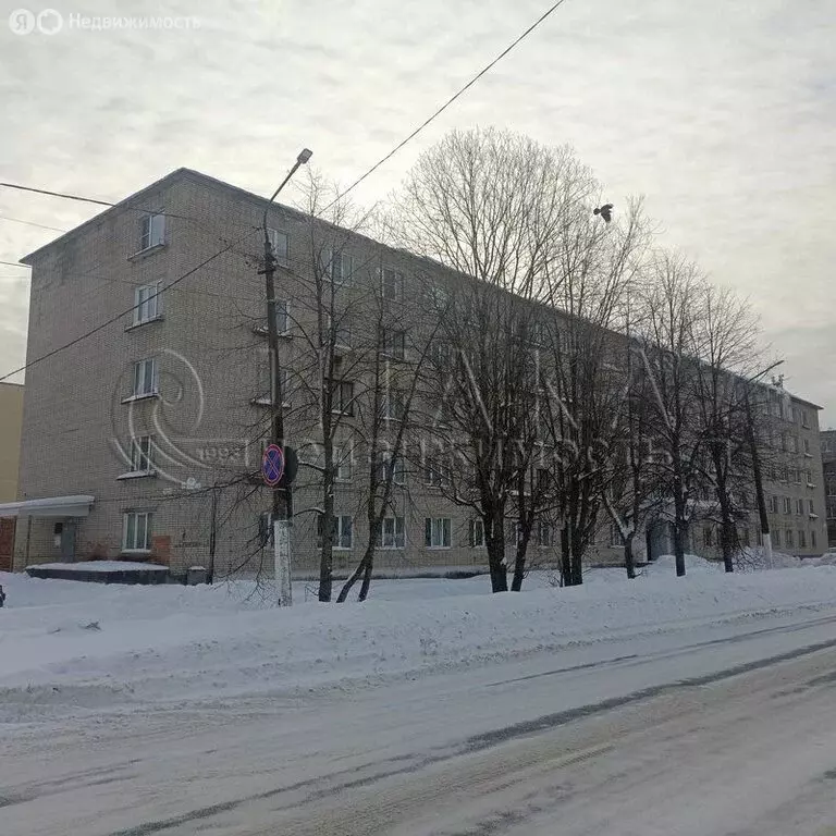 1-комнатная квартира: Подпорожье, улица Строителей, 9 (24.5 м) - Фото 2