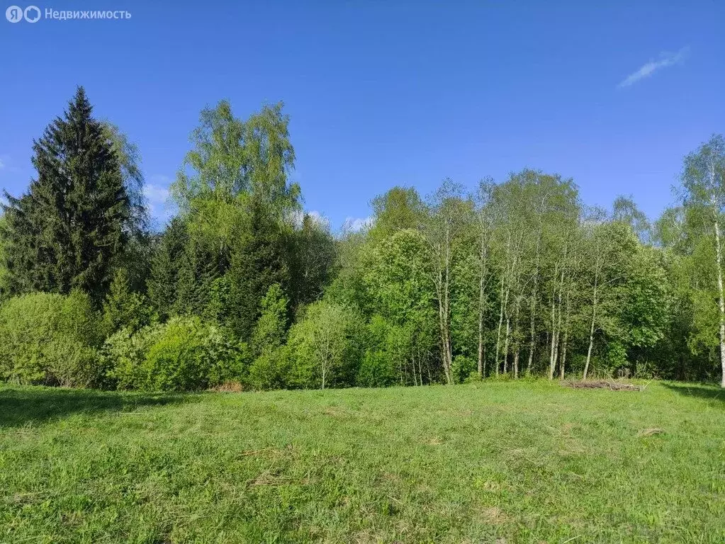 Дом в деревня Ширяево, Старая улица, 10 (122.6 м) - Фото 1