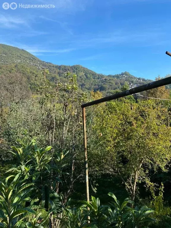 Участок в село Аибга, Аибгинская улица, 19 (20000 м) - Фото 2