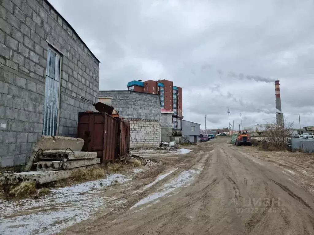 Помещение свободного назначения в Ямало-Ненецкий АО, Новый Уренгой ... - Фото 1